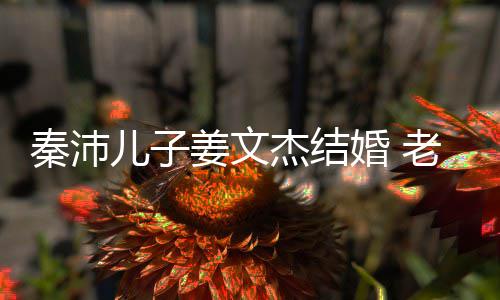 选美漂亮儿子婚 老婆秦沛气质姜文杰结出身长相出众