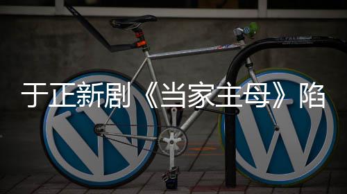波怎新剧陷虐母猫风么回回应家主剧组于正当事